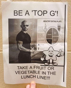 Image post by @calgary.wildin on Instagram
