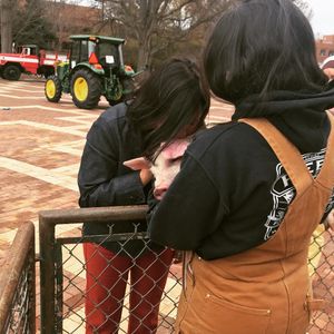 Image post by @ncstatecals on Instagram