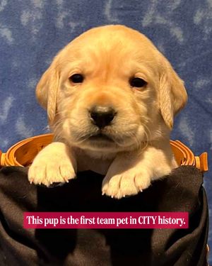 Image post by @stlcitysc on Instagram