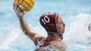 Image post by @IndianaWPolo on Twitter