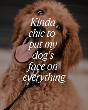 Image post by @shutterfly on Instagram