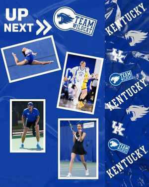 Image post by @_teamwildcat on Instagram