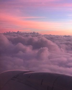 Image post by @tanyasubramanian on Instagram