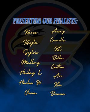 Image post by @coloradoeagleschicks on Instagram