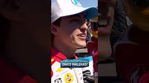 Video post by @indycaronfox on YouTube