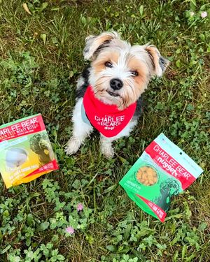 Image post by @charlee_bear_dogtreats on Instagram