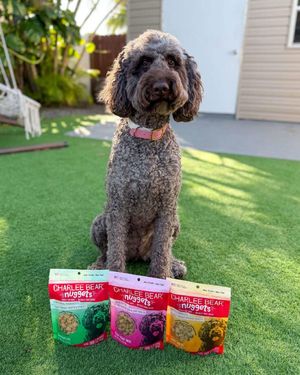 Image post by @charlee_bear_dogtreats on Instagram