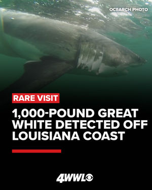 Image post by @wwltv on Instagram