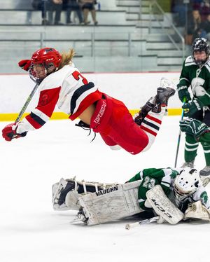 Image post by @hockeyhousepod on Instagram