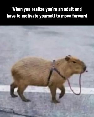 Image post by @9gag on Instagram