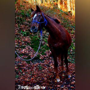 Image post by @c91photography on Instagram