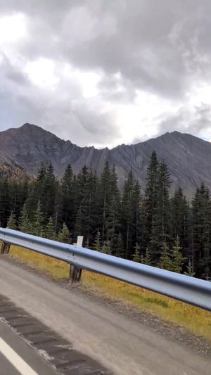 Video post by @CMcalgary on Facebook