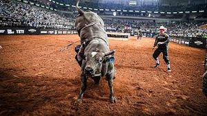Video post by @pbr on YouTube