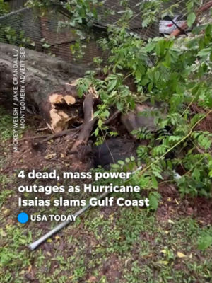 Video post by @usatoday on TikTok