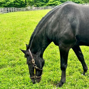 Image post by @hickeyfreeman on Instagram