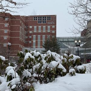 Image post by @bostonmedicalcenter on Instagram