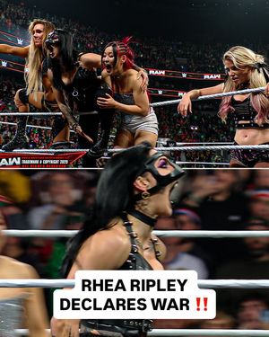 Image post by @wwe_on_netflix on Instagram