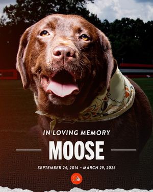 Image post by @clevelandbrowns on Instagram