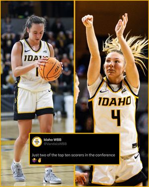 Image post by @vandalswbb on Instagram