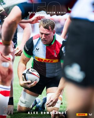 Image post by @harlequins on Instagram