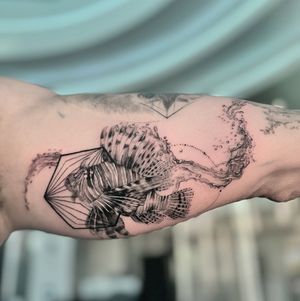 Image post by @ferunda on Instagram