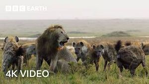 Video post by @bbcearth on YouTube