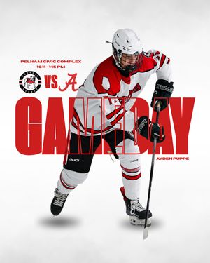 Image post by @ugahockeyd3 on Instagram