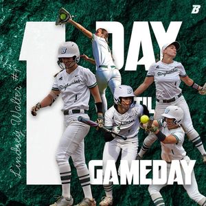 Image post by @binghamtonsoftball on Instagram