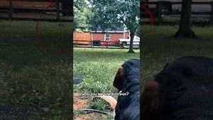 Video post by @evolsoulx on YouTube