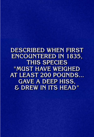 Video post by @jeopardy on TikTok