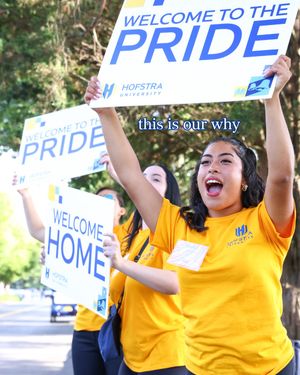 Image post by @hofstrau on Instagram