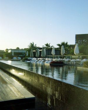 Image post by @itsjsalz on Instagram