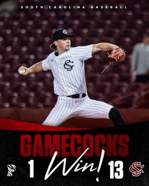 Image post by @gamecockbaseball on Instagram