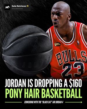 Image post by @soleretriever on Instagram