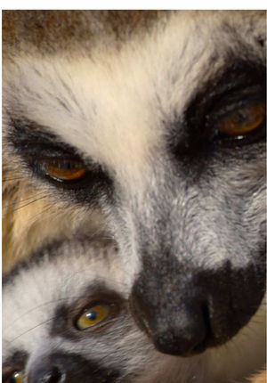 Video post by @appletv on TikTok