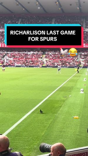 Video post by @olafinho_7 on TikTok