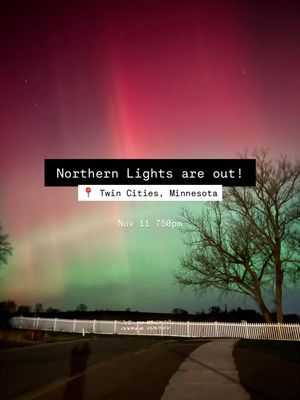 Image post by @planetwithsara on Instagram