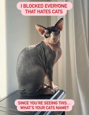 Image post by @petsmart on Instagram