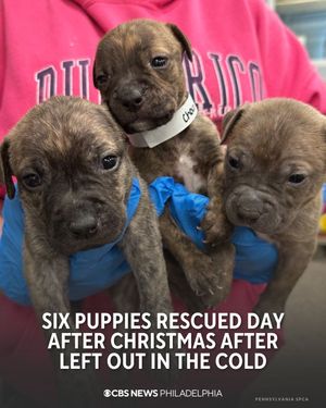Image post by @cbsphiladelphia on Instagram