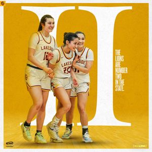 Image post by @LakesideLions on Twitter