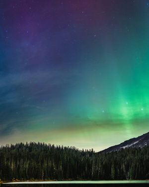 Image post by @wanatlparkfund on Instagram
