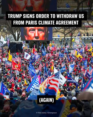 Image post by @greenpeace on Instagram