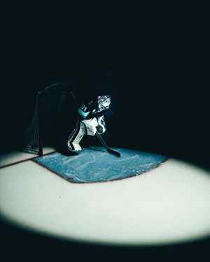 Image post by @elicorriveau on Instagram