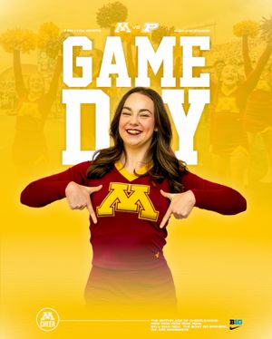 Image post by @gopherspiritsquad on Instagram