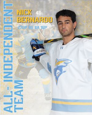 Image post by @liumhockey on Instagram