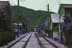 Image post by @W.39thPhotos on Facebook