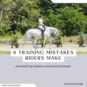 Image post by @theplaidhorsemag on Instagram