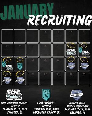 Image post by @saintleowsoc on Instagram
