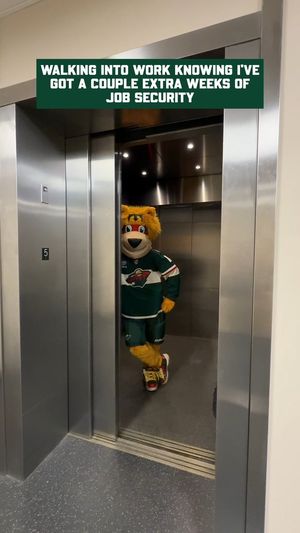 Video post by @NordyWild on Twitter