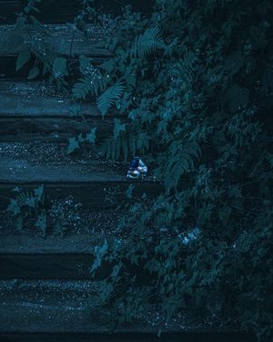 Image post by @cristan.nature.photography on Instagram